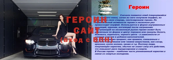 соль ск Дмитриев
