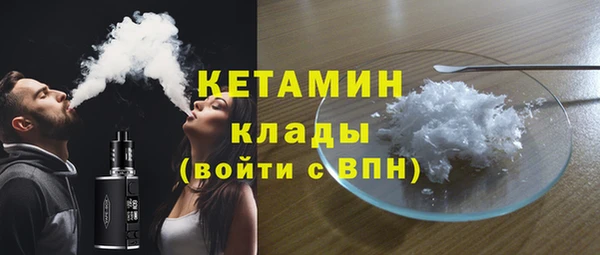 соль ск Дмитриев