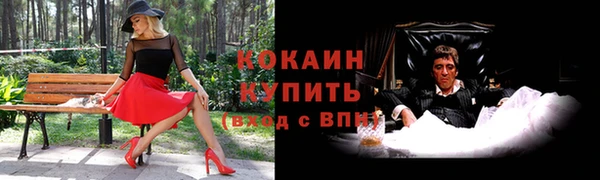 СК Дмитров