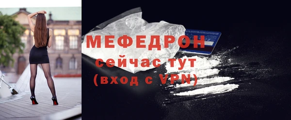 соль ск Дмитриев