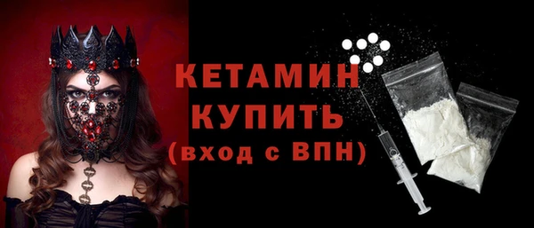 соль ск Дмитриев
