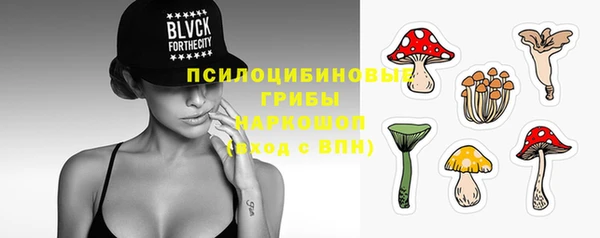 СК Дмитров