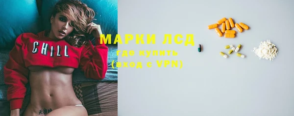 соль ск Дмитриев