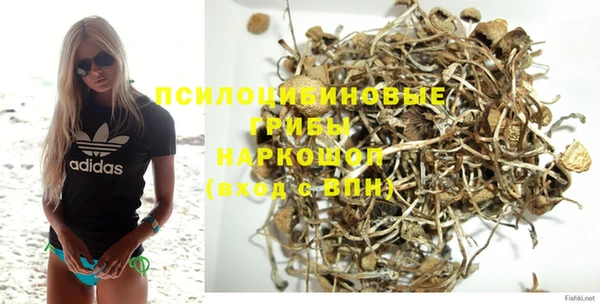 эйфоретик Дмитровск