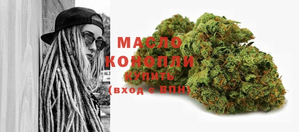 соль ск Дмитриев