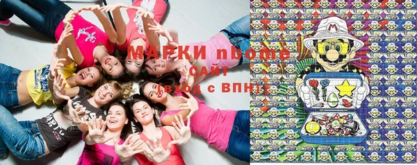 прущие крисы Вяземский