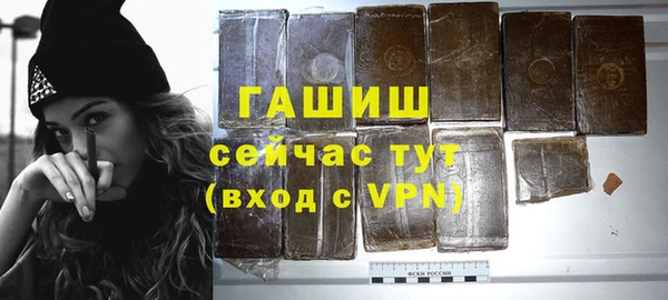 соль ск Дмитриев