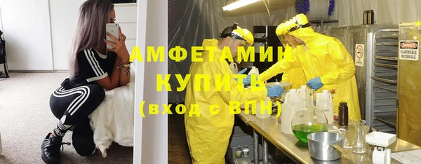 соль ск Дмитриев