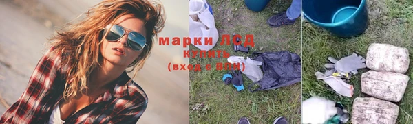 СК Дмитров