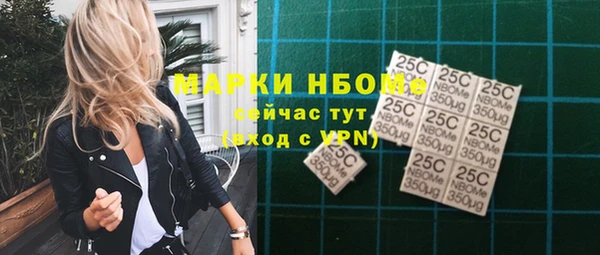 соль ск Дмитриев
