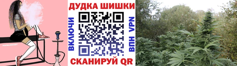 гидра как войти  Ангарск  Марихуана SATIVA & INDICA 